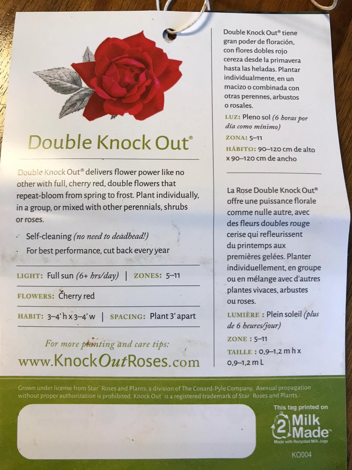 Double Knock Out Rose 3 Gallon Installation/Plantings