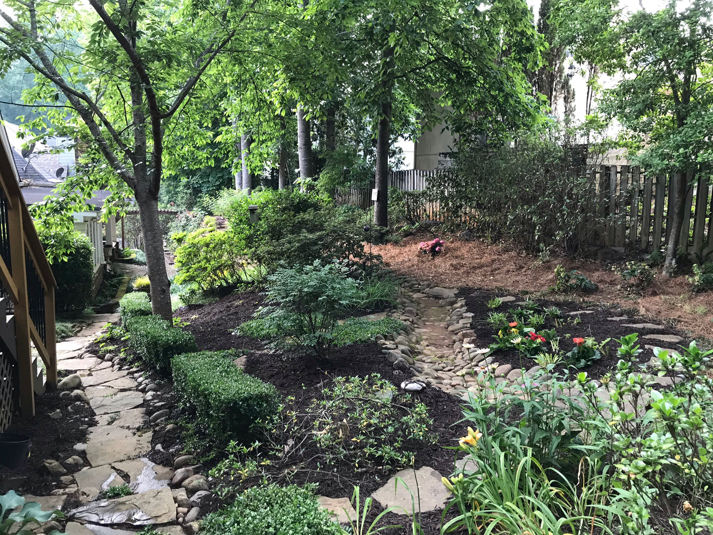 Ajuga - Chocolate Chip by Flats Installation