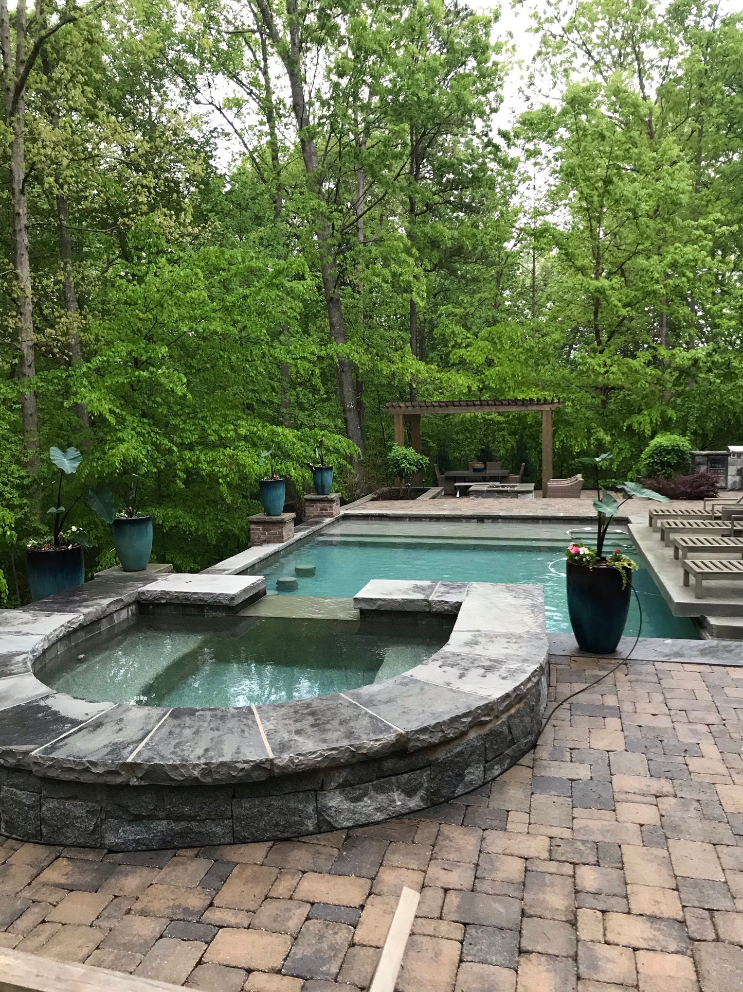 1Gal Black Magic Installation/Plantings