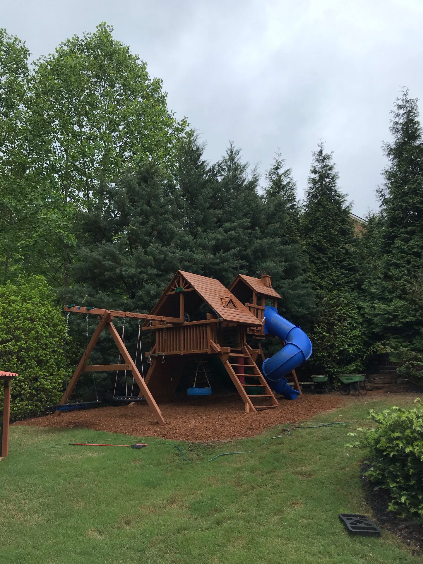 BLUE JUNIPER 30 Gallon Installation/Tree