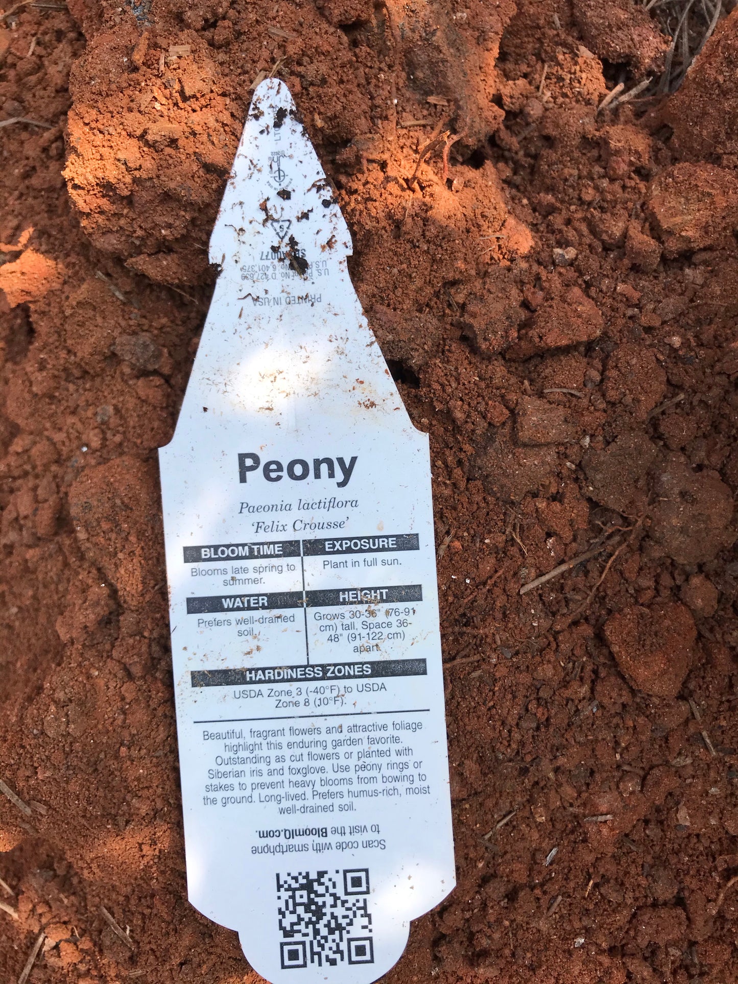 Peony 1 to 3 Gallon Installation/Plantings