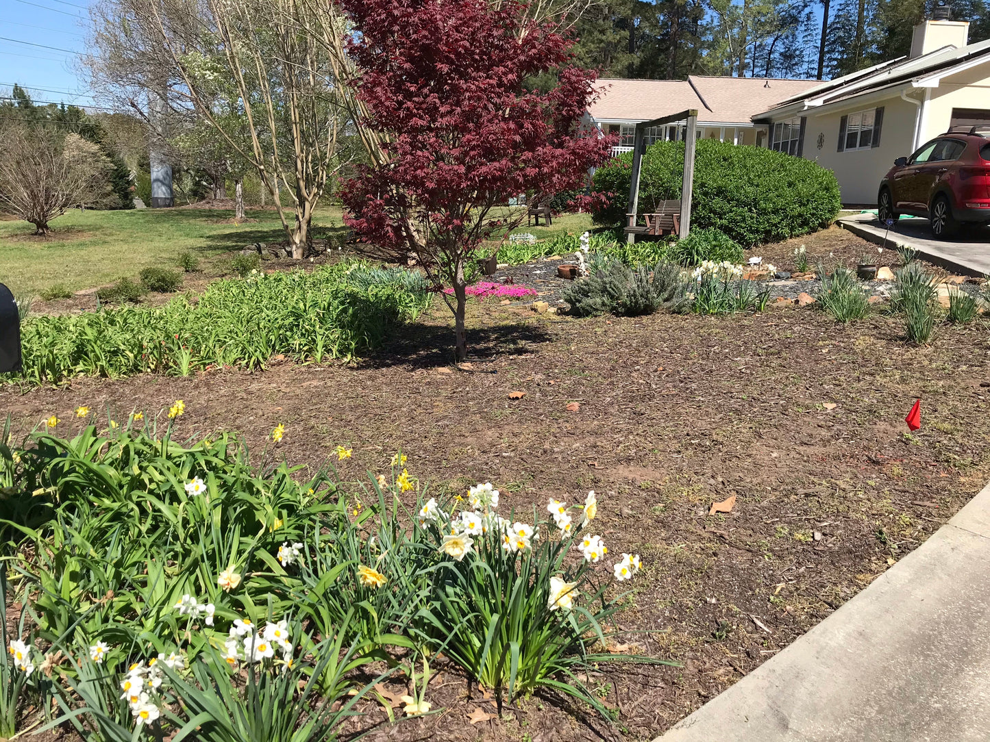 Cleanup Medium House Installation /Cleanup