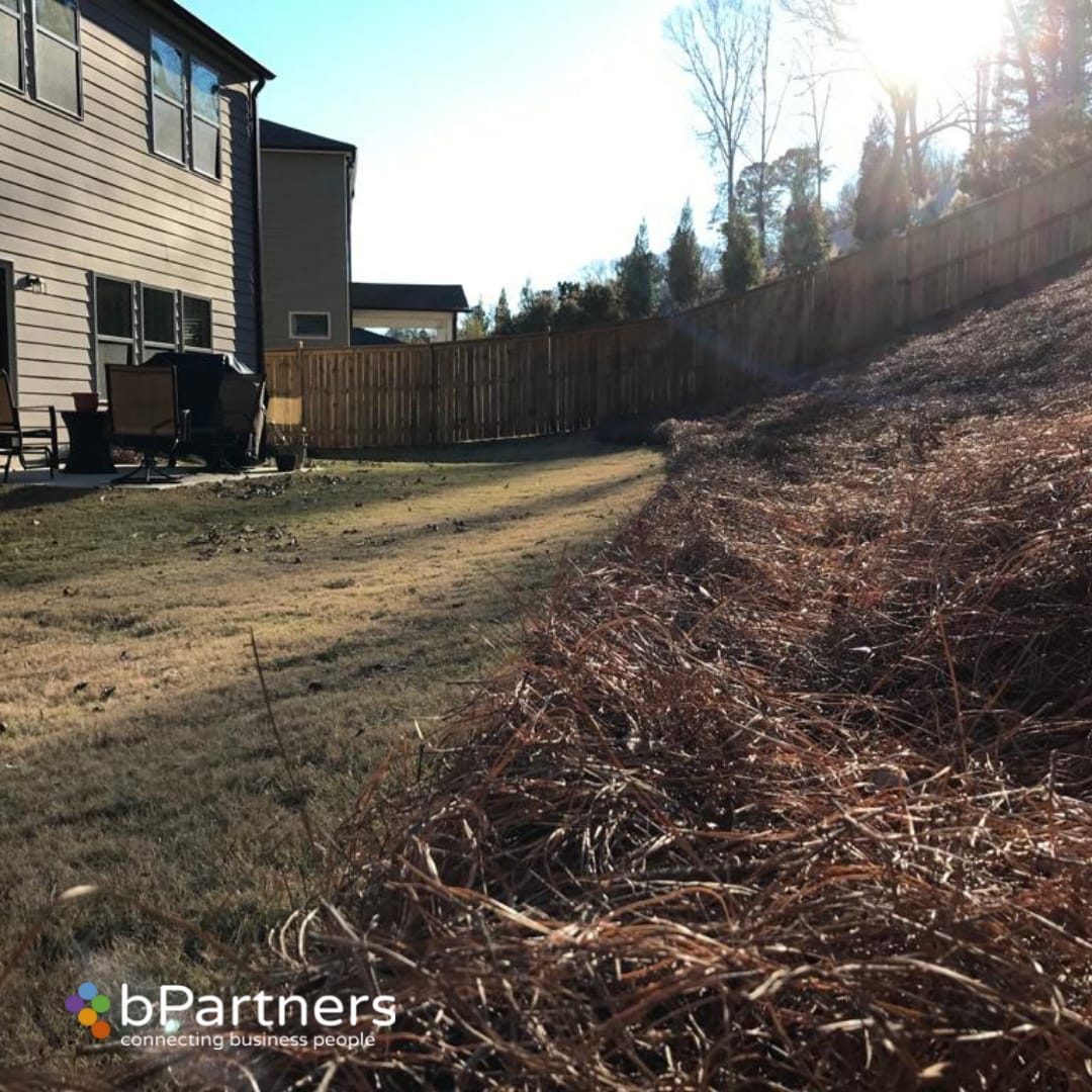 Long Needle Pinestraw Installation