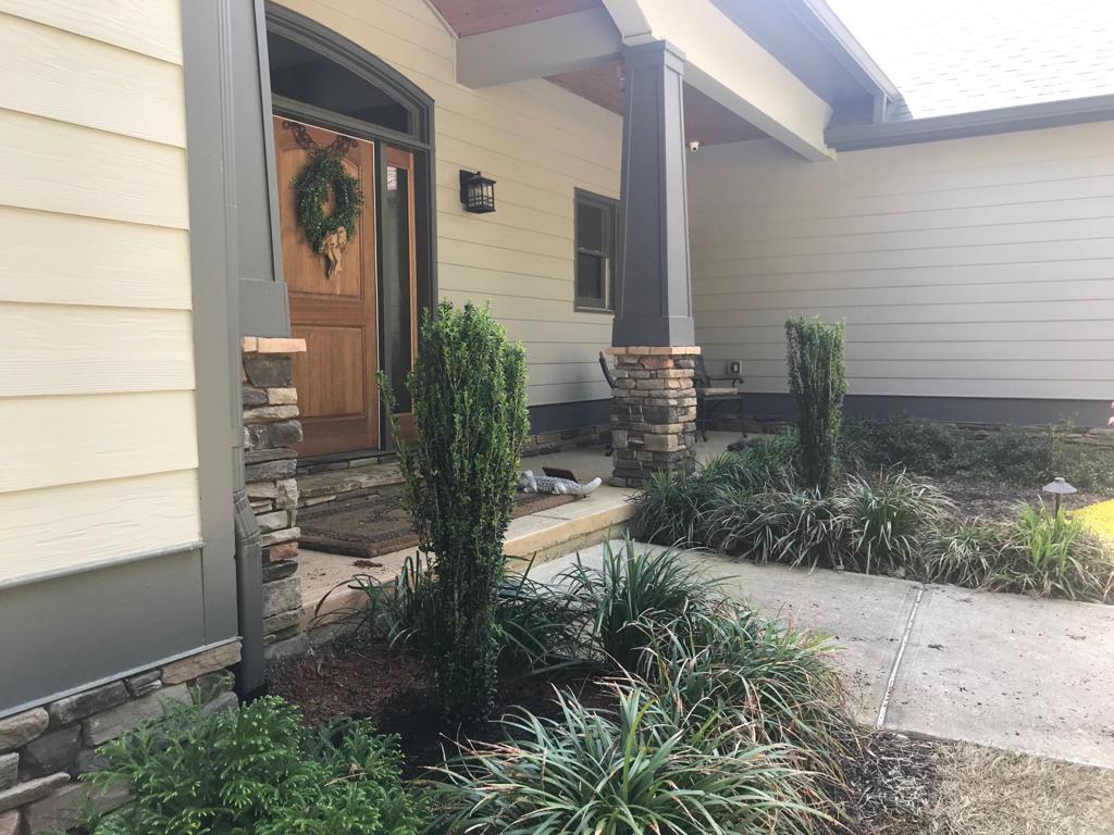 7Gal Holly, Sky Pencil (multiple sizes) Installation/Plantings