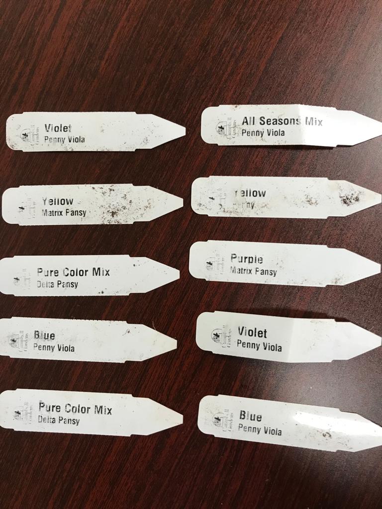 Flats Delta Pansy Installation /Seasonal Landscape Flowers