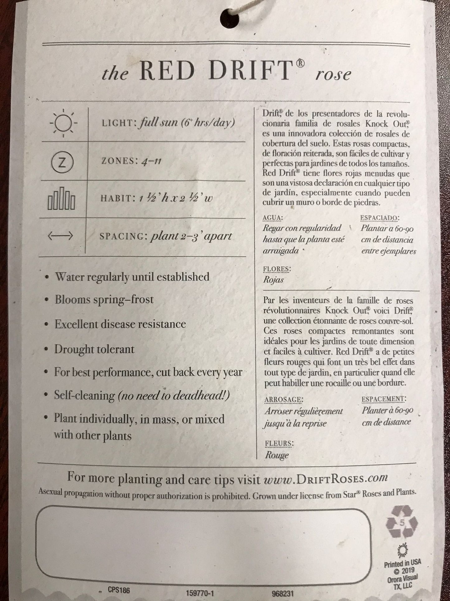 3gal Red Drift Rose Meigalpio Installation/Plantings