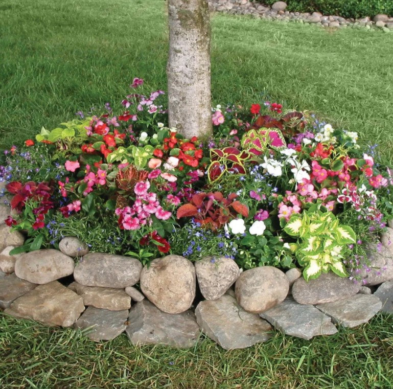 Plant clients flowers around trees Landscapes/Plantings