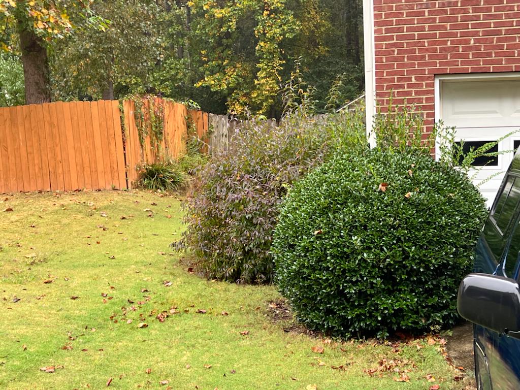 Pull out a bush Big Installation /Cleanup