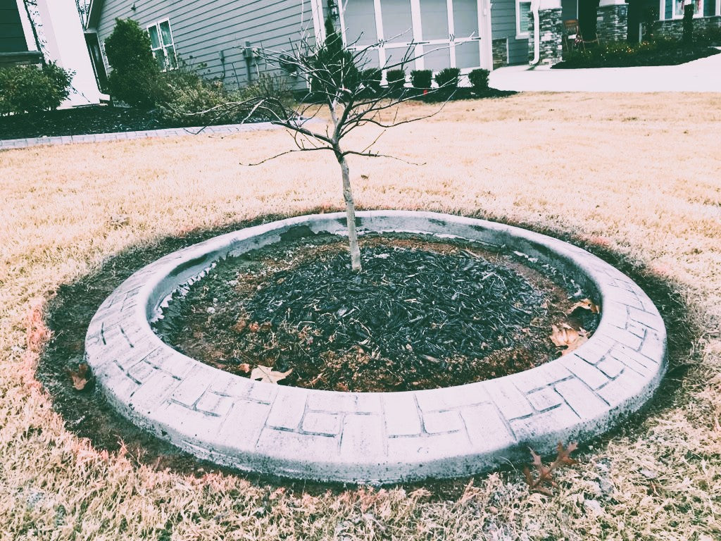 Remove Bed Edge per linear foot Installation /Cleanup/Remove/Concrete