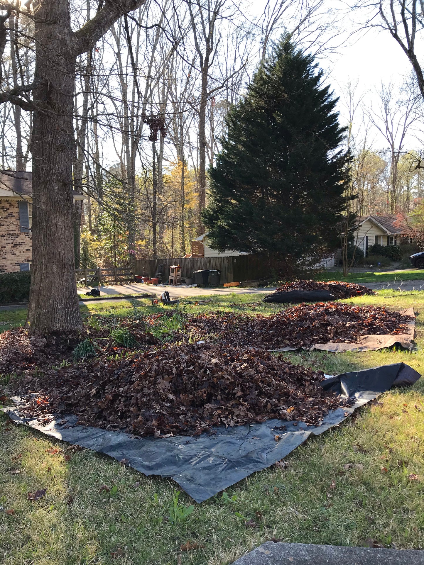 Polyethylene Tarp 8-Feet x 8-Feet Maintenance/Leaf Cleanup