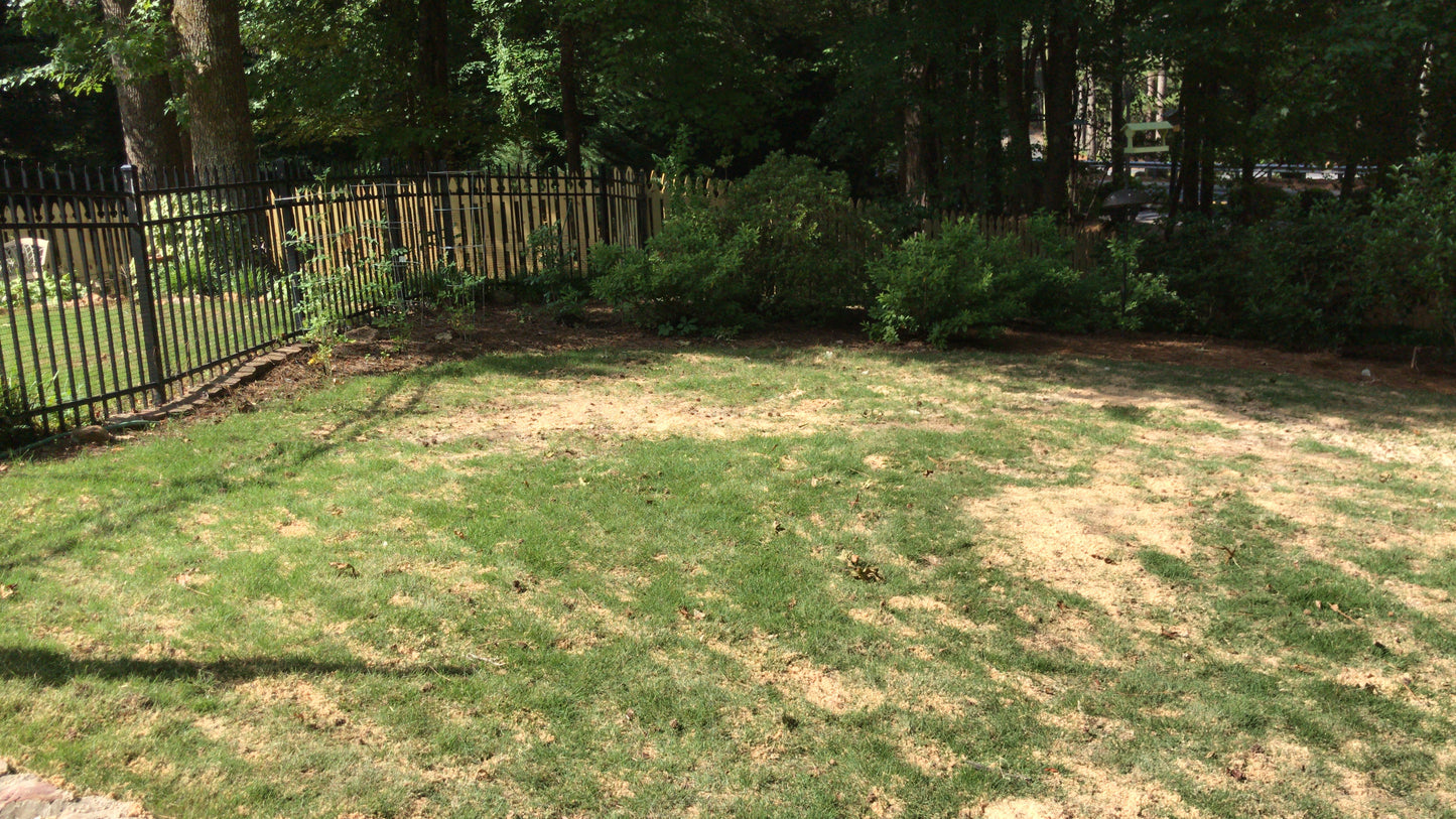 Aeration and Sanding Aeration and Sanding of few spots WHITE SAND Ton Maintenance/Lawn