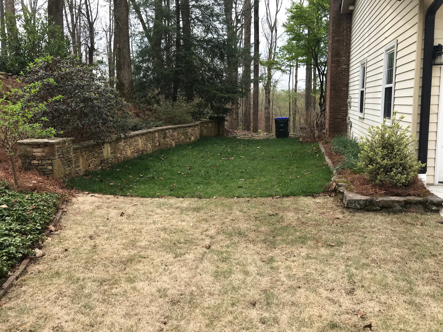 Zoysia per roll Installation /Sod