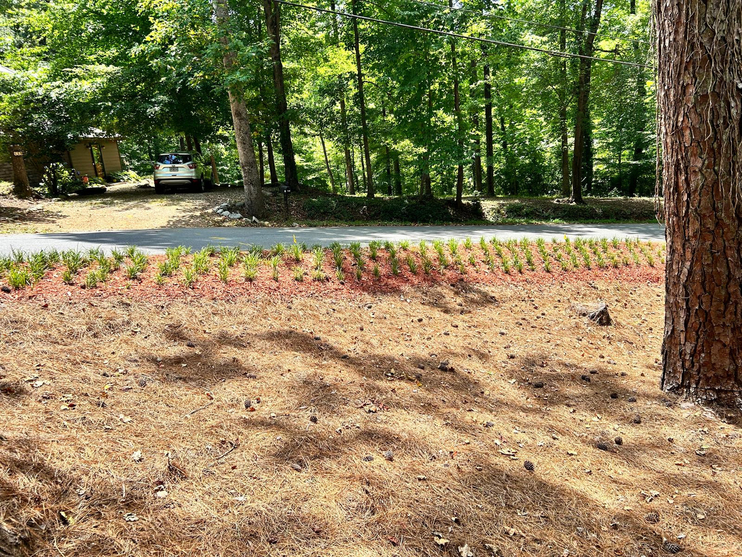 Red Hardwood Mulch Installation /Hardwood mulch