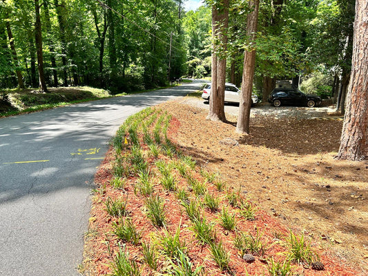 Red Hardwood Mulch Installation /Hardwood mulch