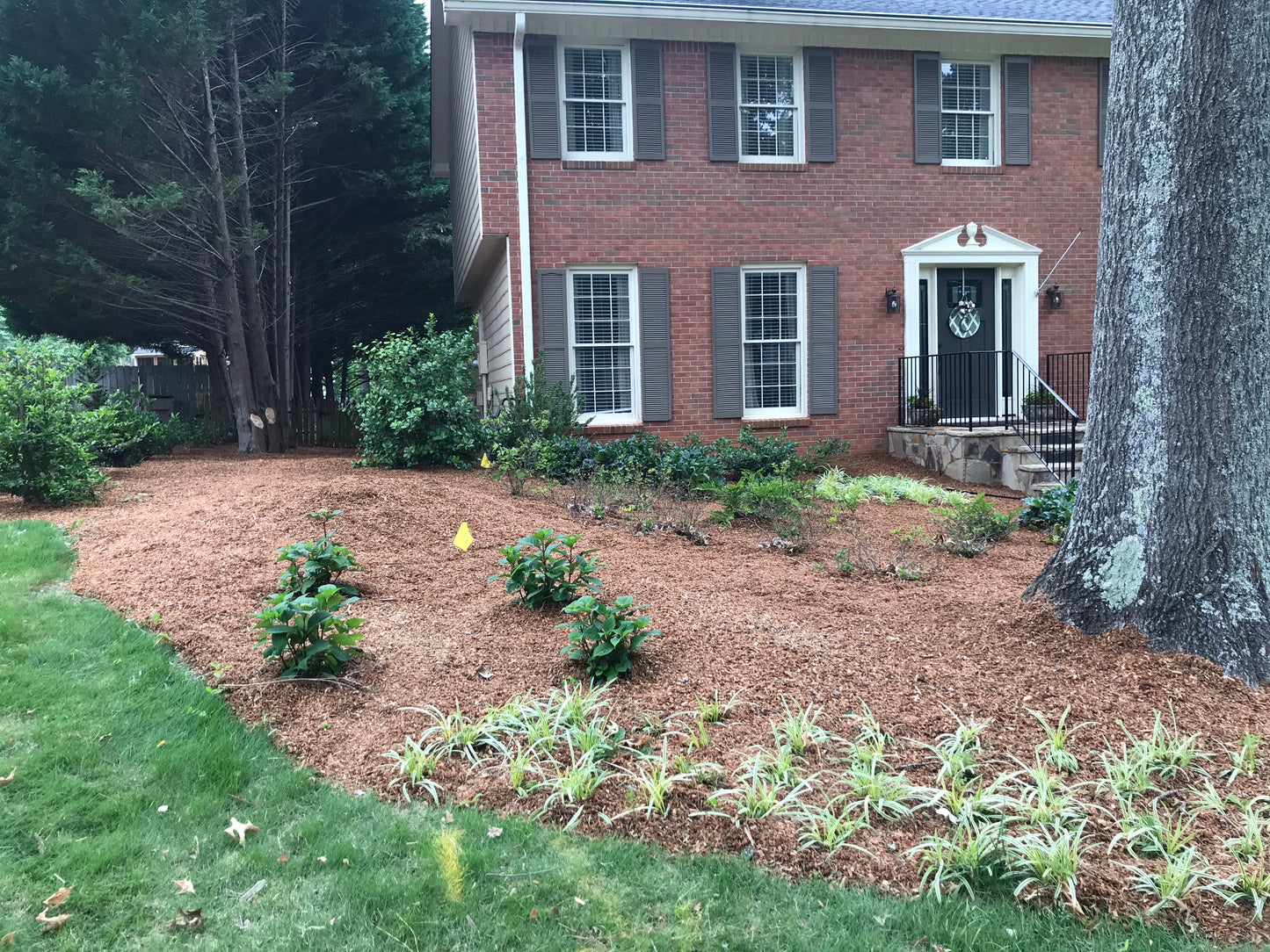 Cypress Hardwood Mulch Installation Landscapes/Mulching