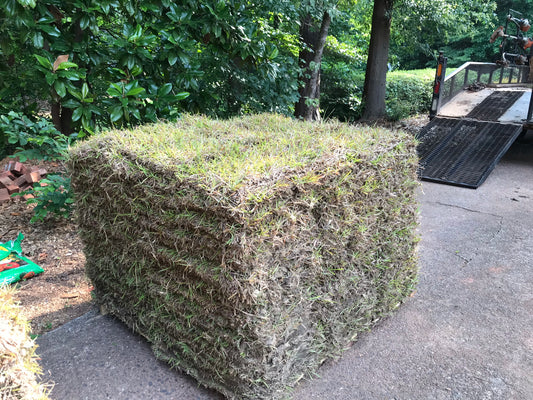 Centipede turf 500 square feet per pallet Installation/Sod