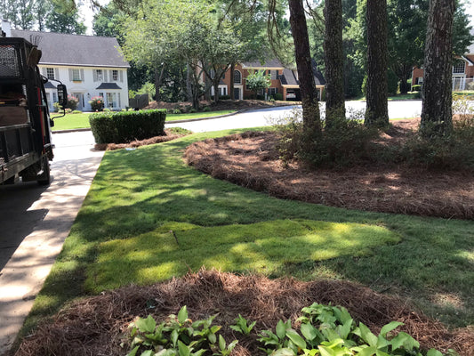 Zoysia per roll Installation /Sod