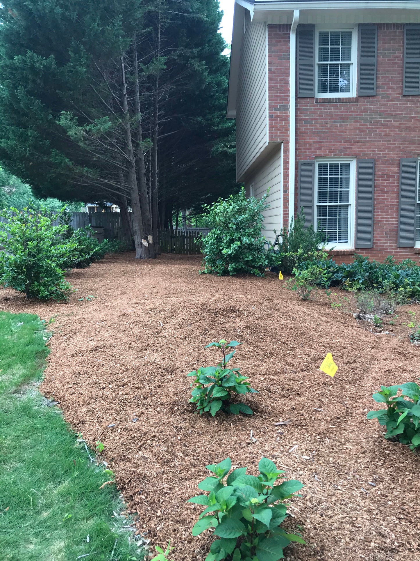 Cypress Hardwood Mulch Installation Landscapes/Mulching