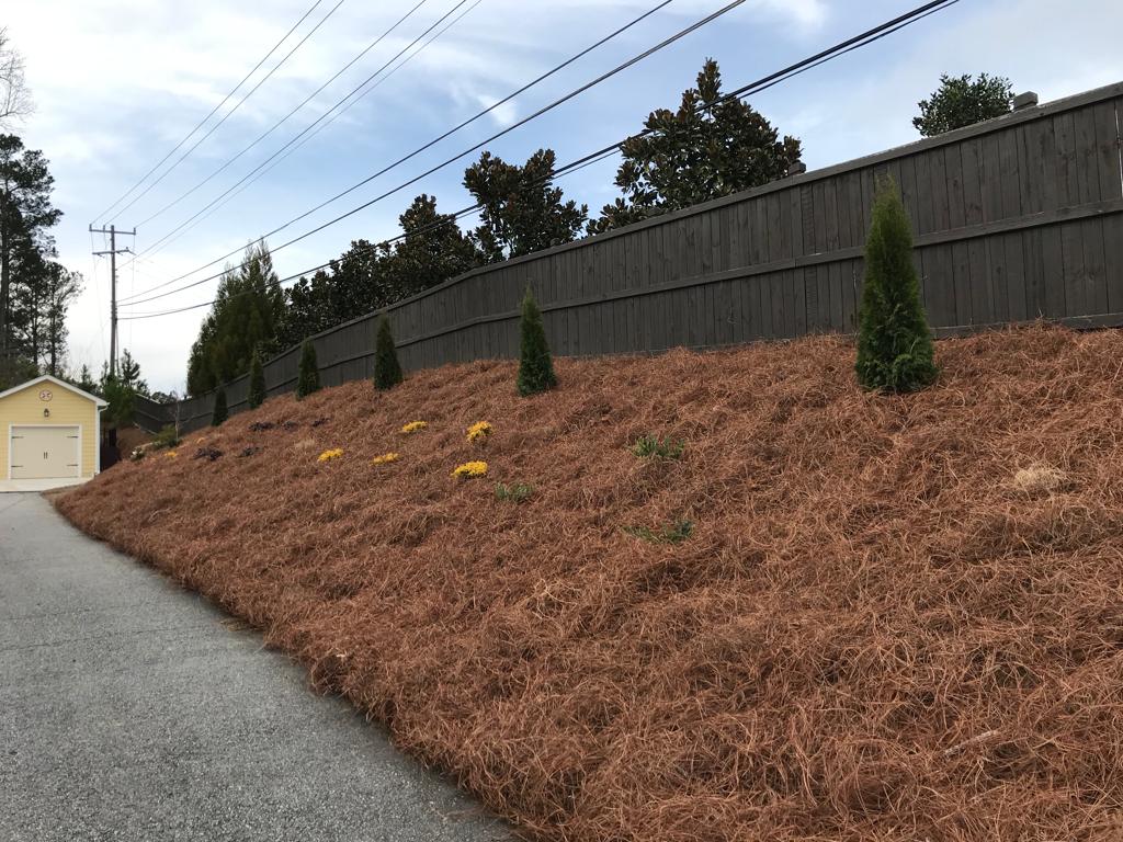 3Gal Grass Maiden Installation/Plantings