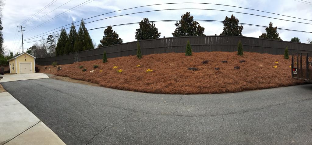 3Gal Grass Maiden Installation/Plantings