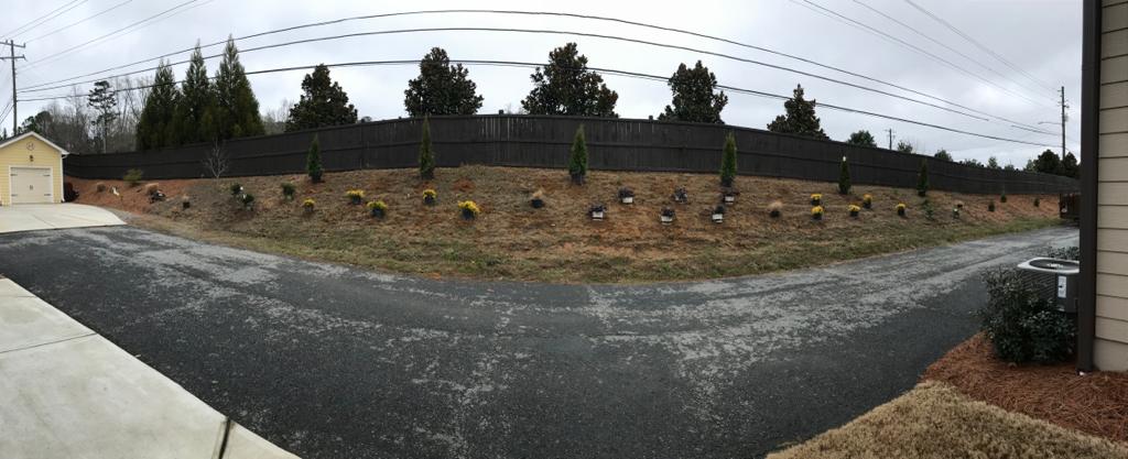 3Gal Grass Maiden Installation/Plantings