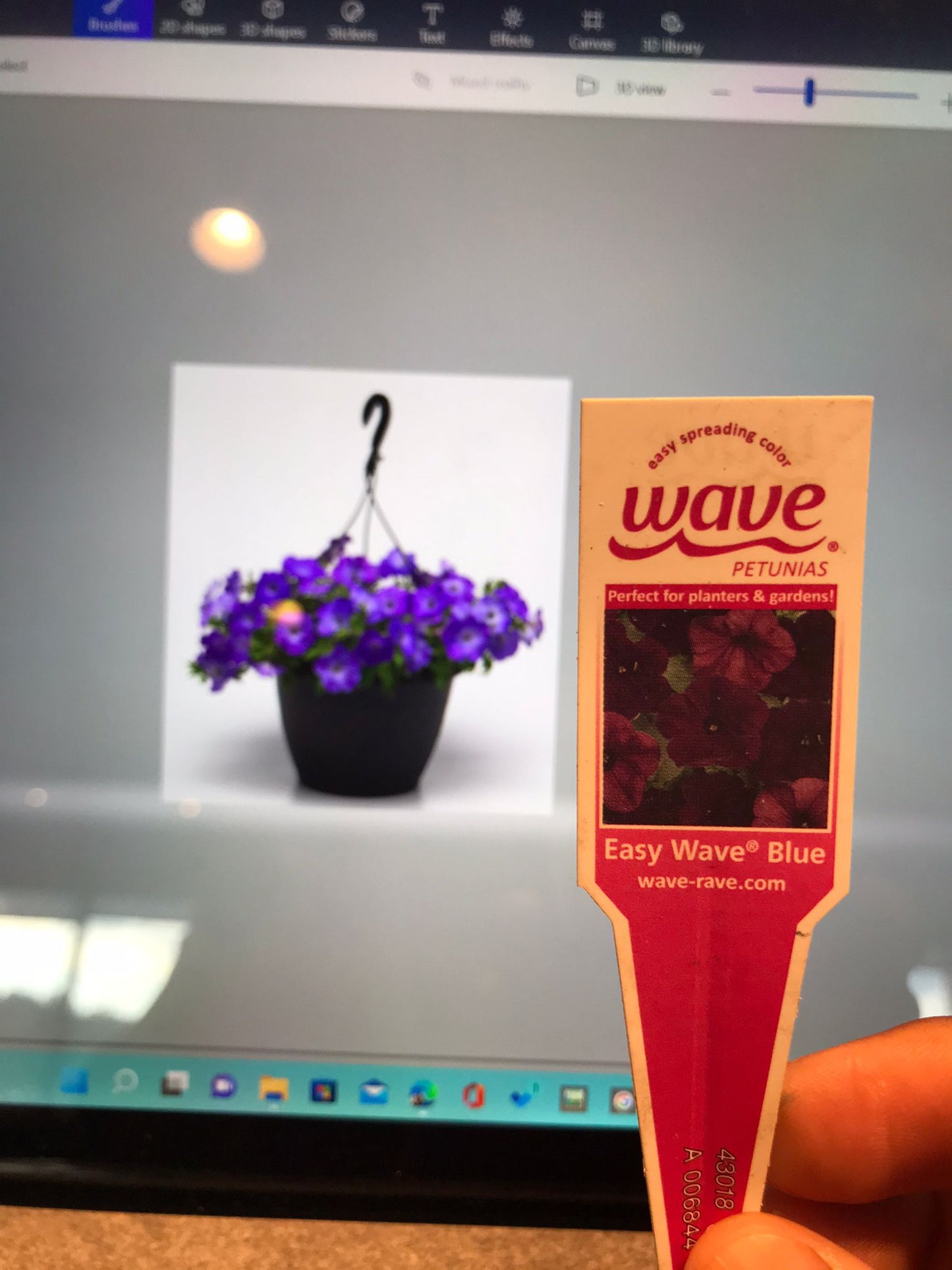 Easy Wave Blue 1G Installation/Plantings