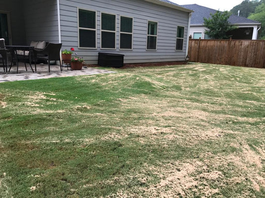 Top Dressing WHITE SAND Ton Maintenance/Lawn