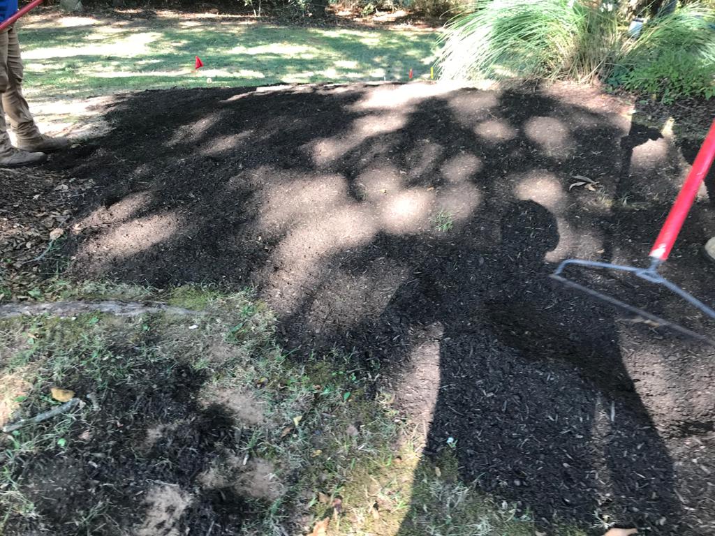 Fescue Seed Plus per square foot Installation/Sod/Fescue