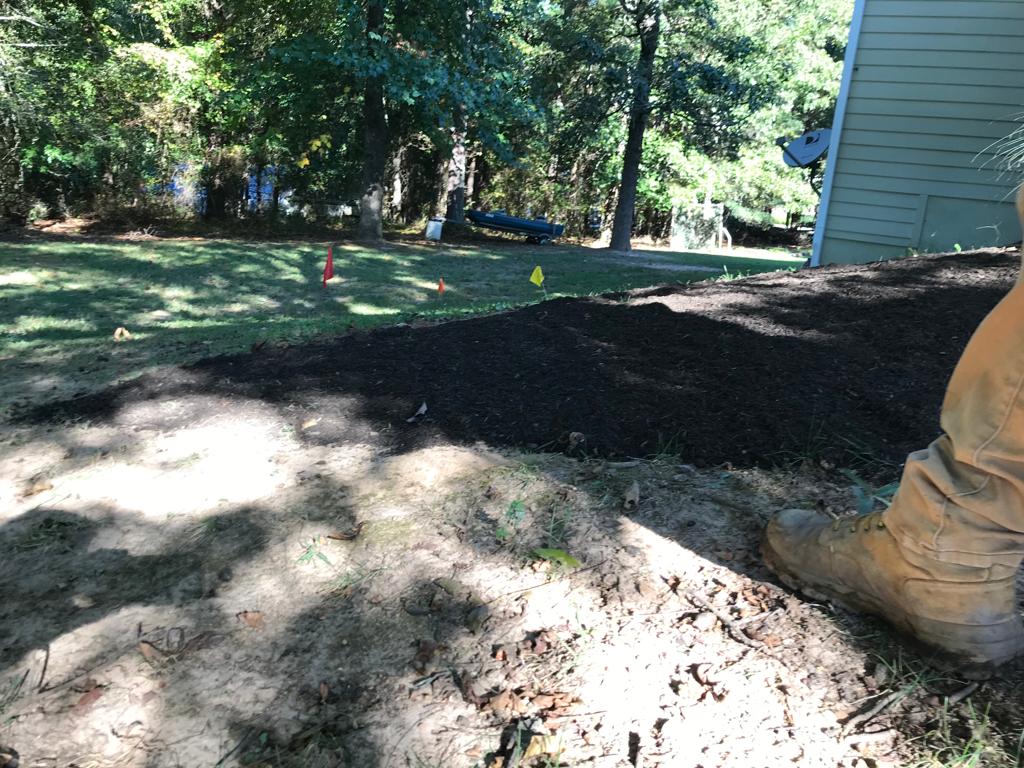 Fescue Seed Plus per square foot Installation/Sod/Fescue