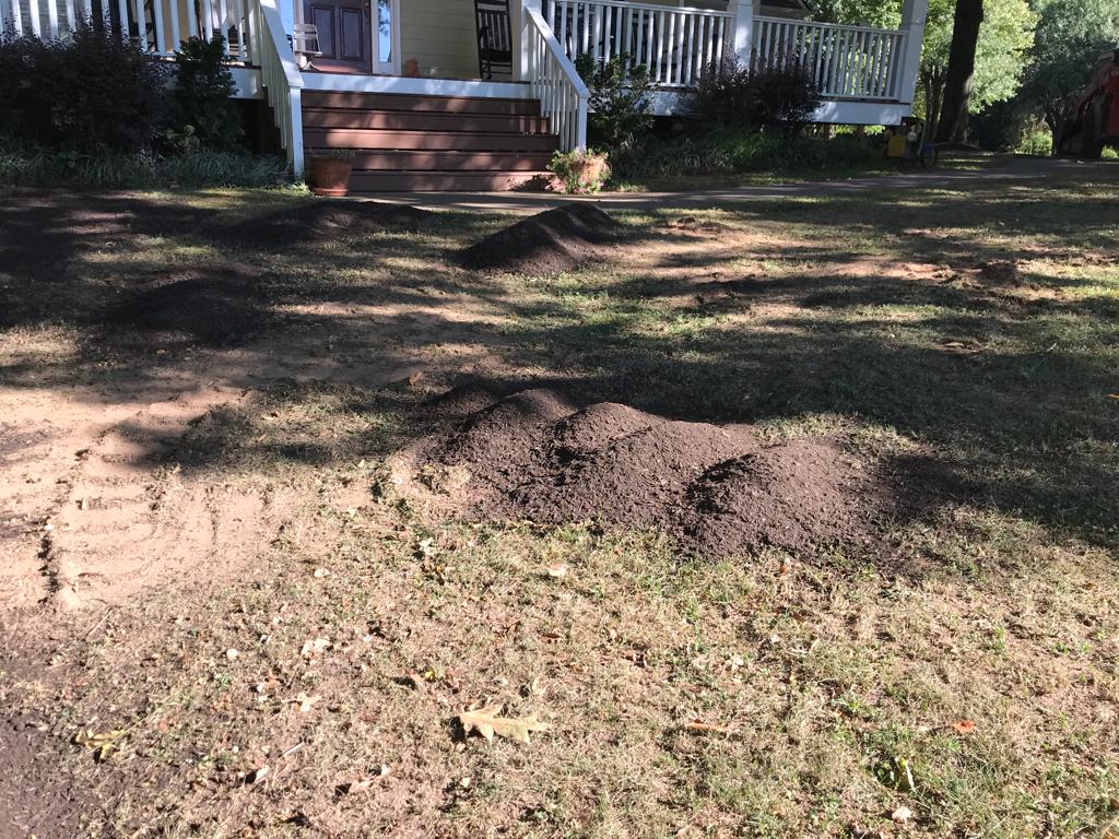 Fescue Seed Plus per square foot Installation/Sod/Fescue