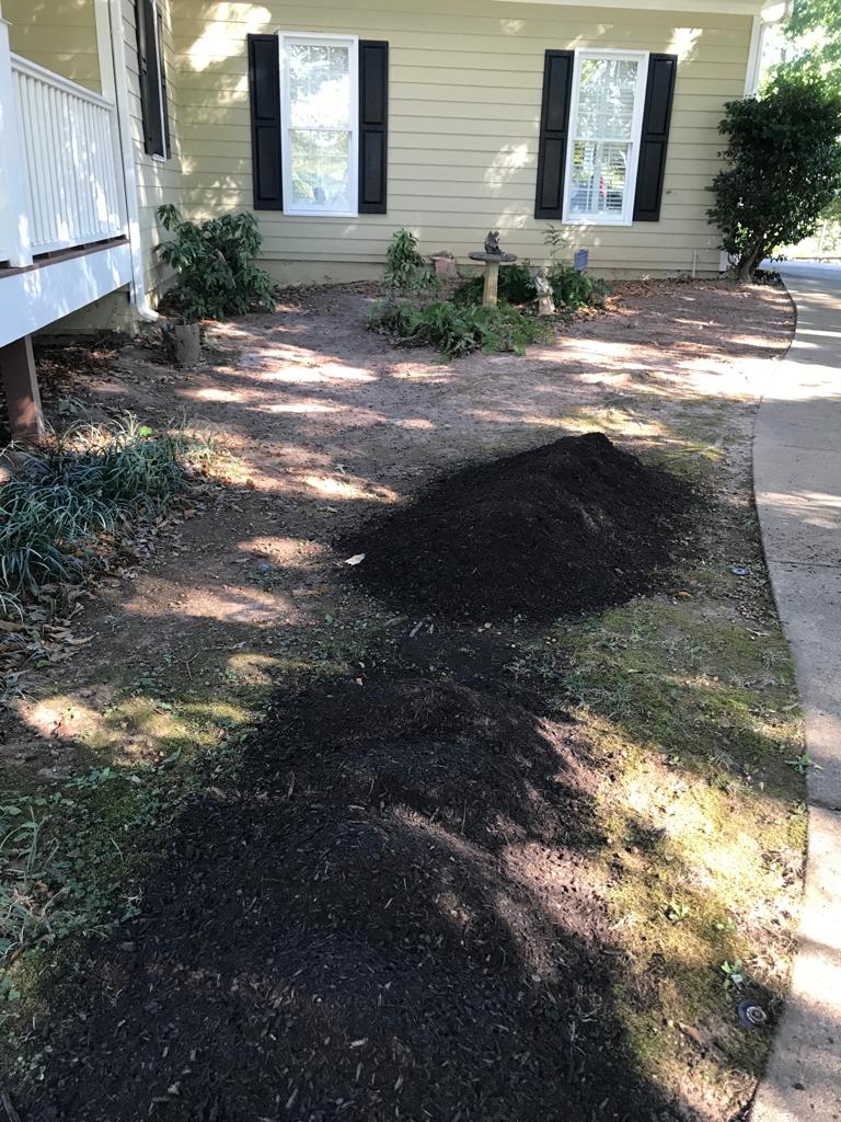 Fescue Seed Plus per square foot Installation/Sod/Fescue