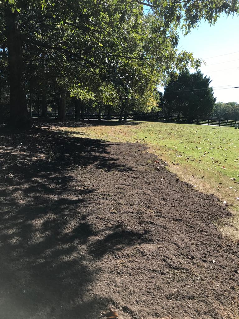 Fescue Seed Plus per square foot Installation/Sod/Fescue