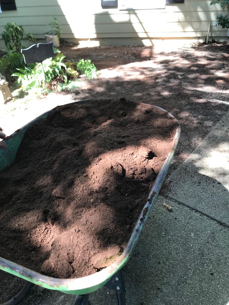 Fescue Seed Plus per square foot Installation/Sod/Fescue