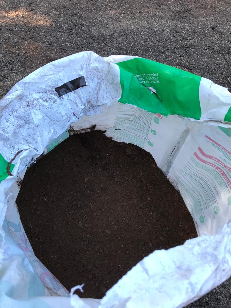 Fescue Seed Plus per square foot Installation/Sod/Fescue