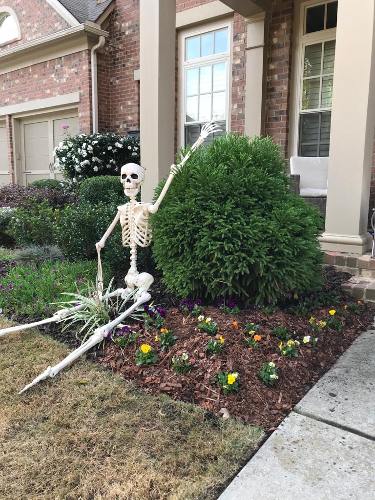 Flats Penny Viola Installation /Seasonal Landscape Flowers