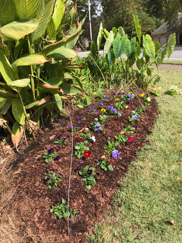 Flats Delta Pansy Installation /Seasonal Landscape Flowers