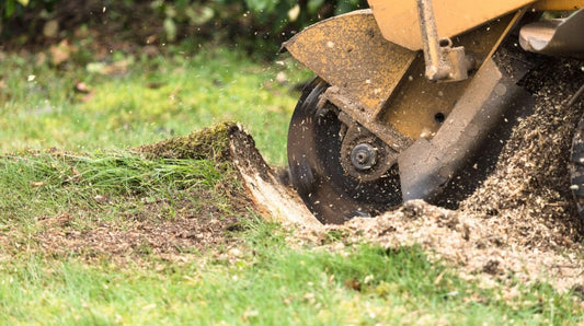 Small Stump Grinding  of the Tree Installation /Removal /Grind Stumps