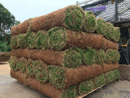 Zoysia Zeon 500 square feet per pallet Installation /Sod