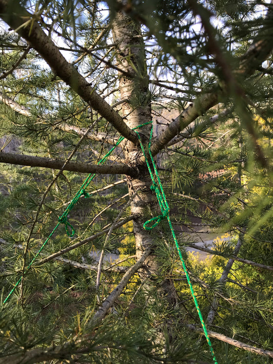 Straighten medium tree Installation/Tree