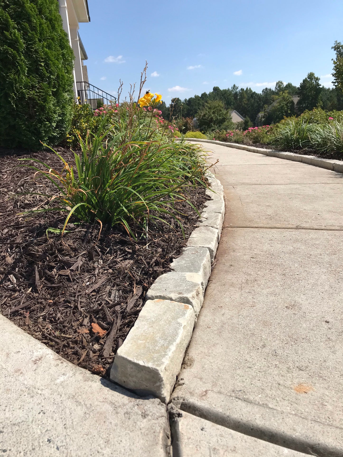 Edgestone tumbled cobblestone per foot  Installation/Hardscape