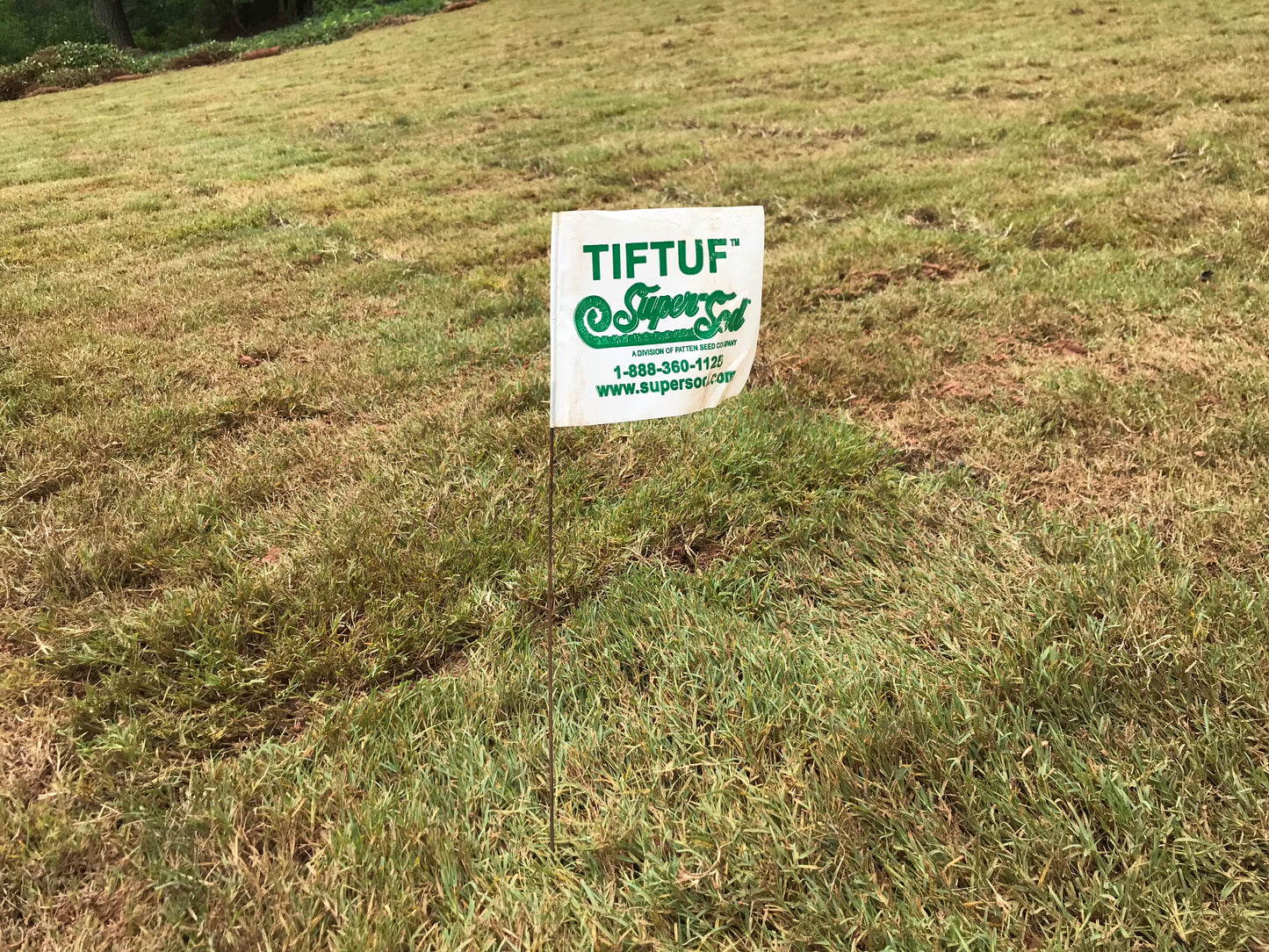 Bermuda TIFTUF 500 square feet per pallet Installation /Sod