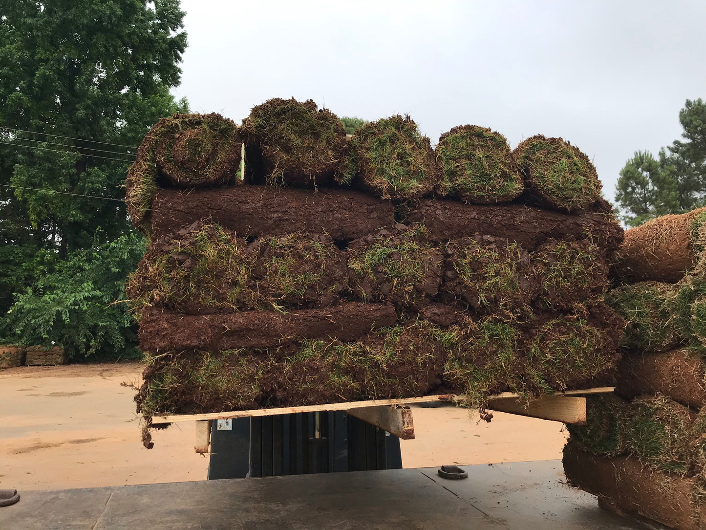 Bermuda TIFTUF 500 square feet per pallet Installation /Sod