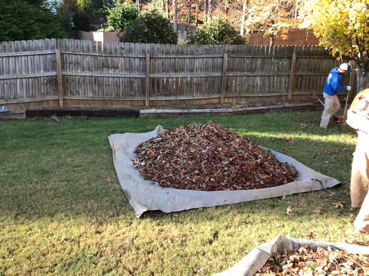 Polyethylene Tarp 8-Feet x 8-Feet Maintenance/Leaf Cleanup
