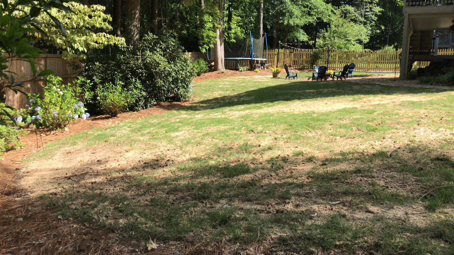 Aeration and Sanding Aeration and Sanding of few spots WHITE SAND Ton Maintenance/Lawn