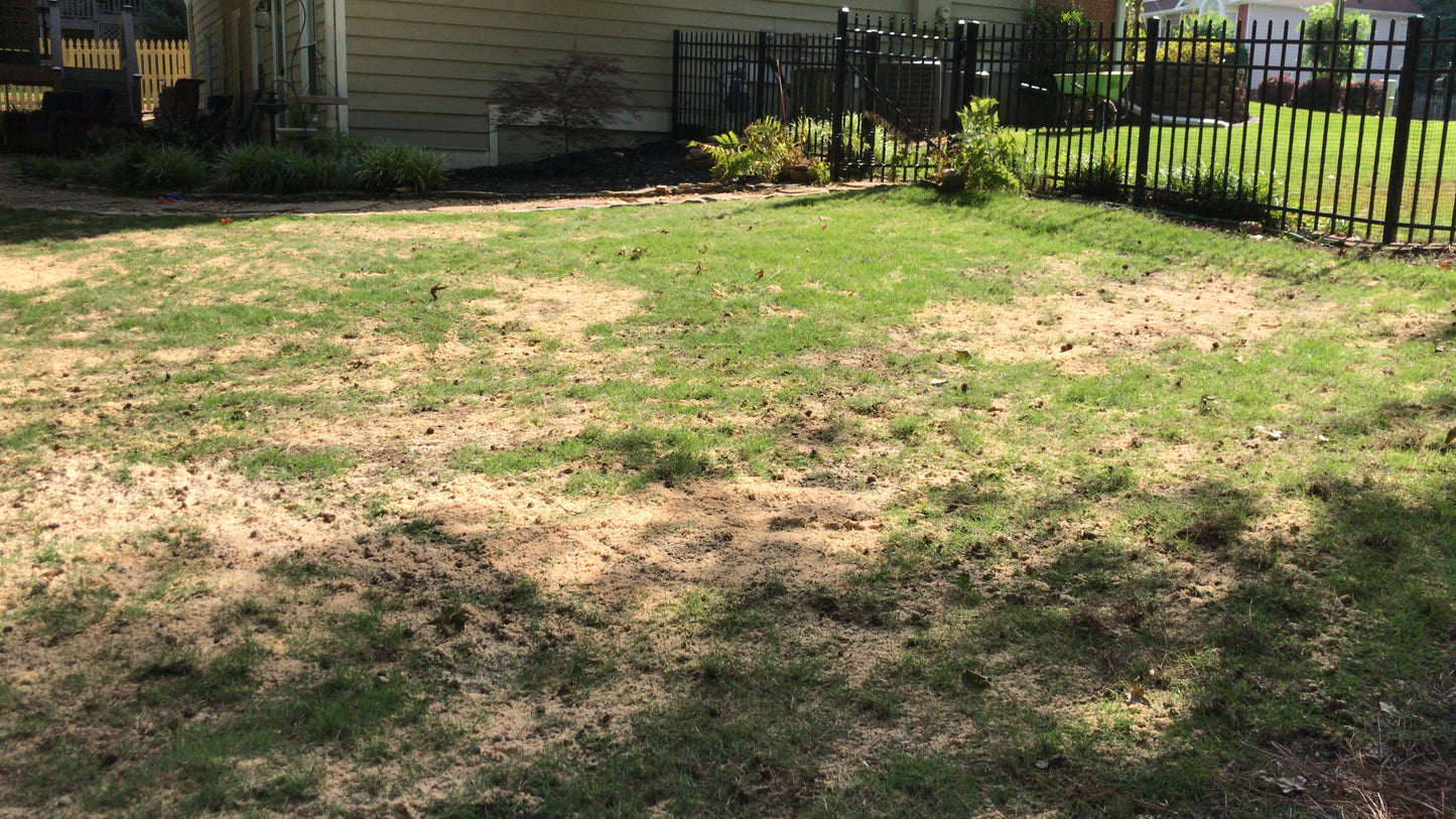 Aeration and Sanding Aeration and Sanding of few spots WHITE SAND Ton Maintenance/Lawn