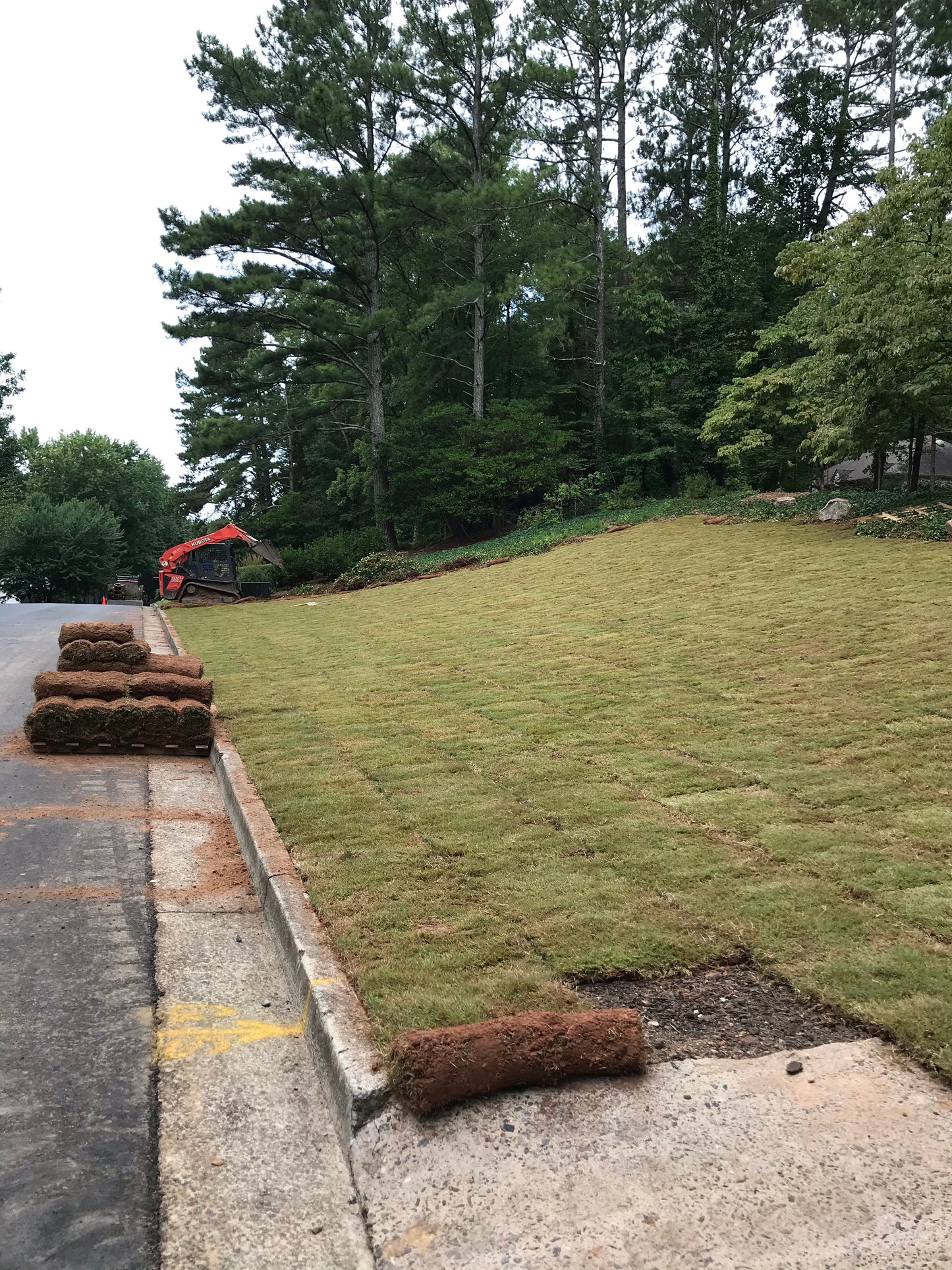 Bermuda TIFTUF 500 square feet per pallet Installation /Sod