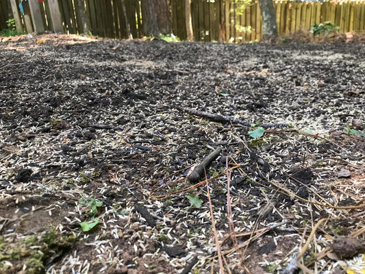 Fescue Seed per square foot Installation/Sod/Fescue