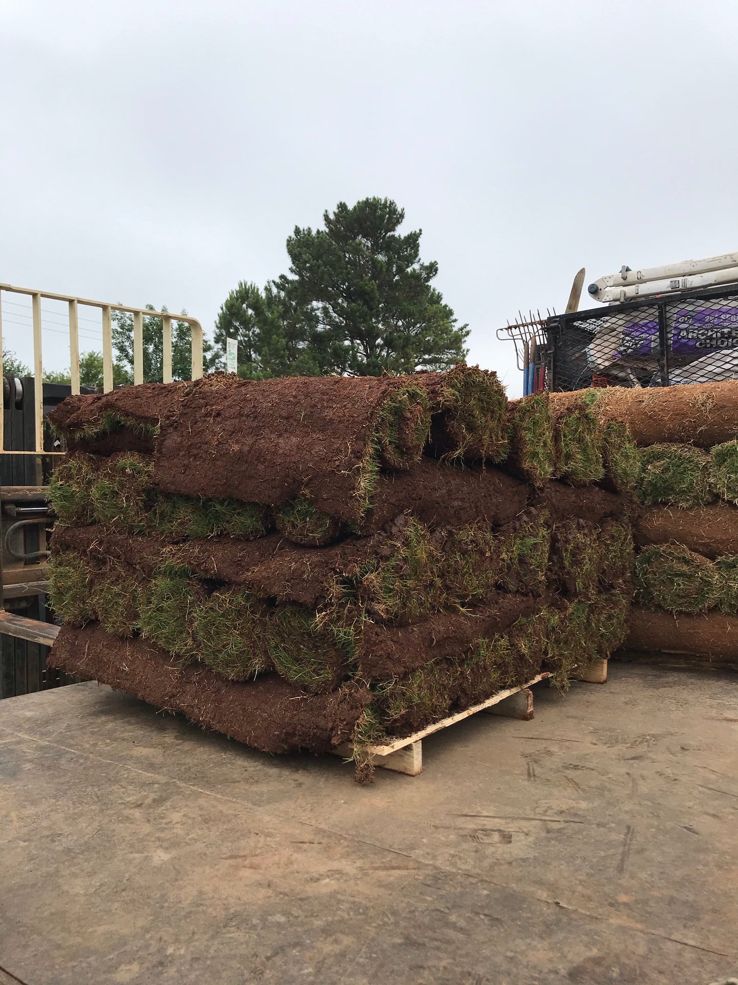 Bermuda TIFTUF 500 square feet per pallet Installation /Sod