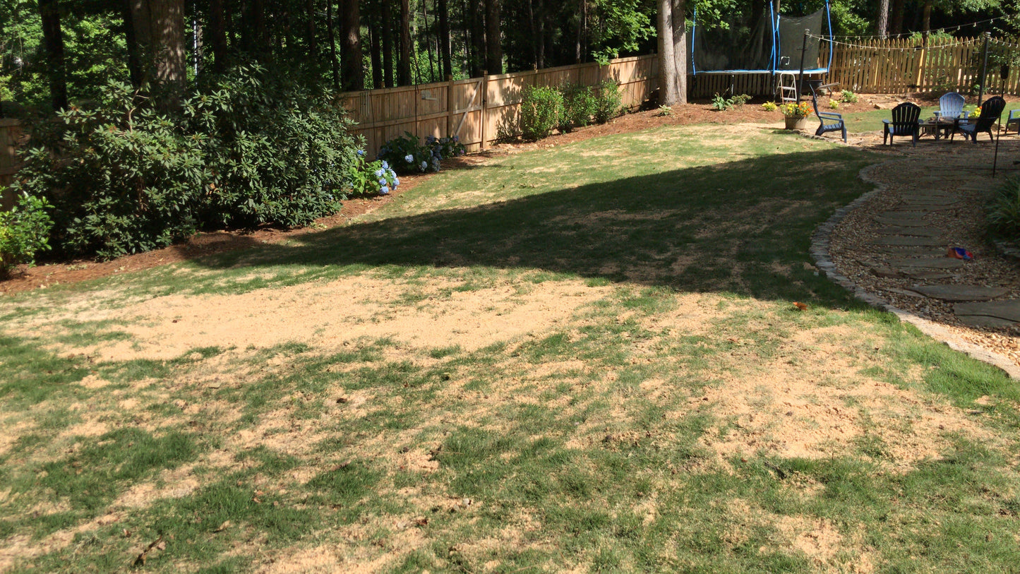 Aeration and Sanding Aeration and Sanding of few spots WHITE SAND Ton Maintenance/Lawn